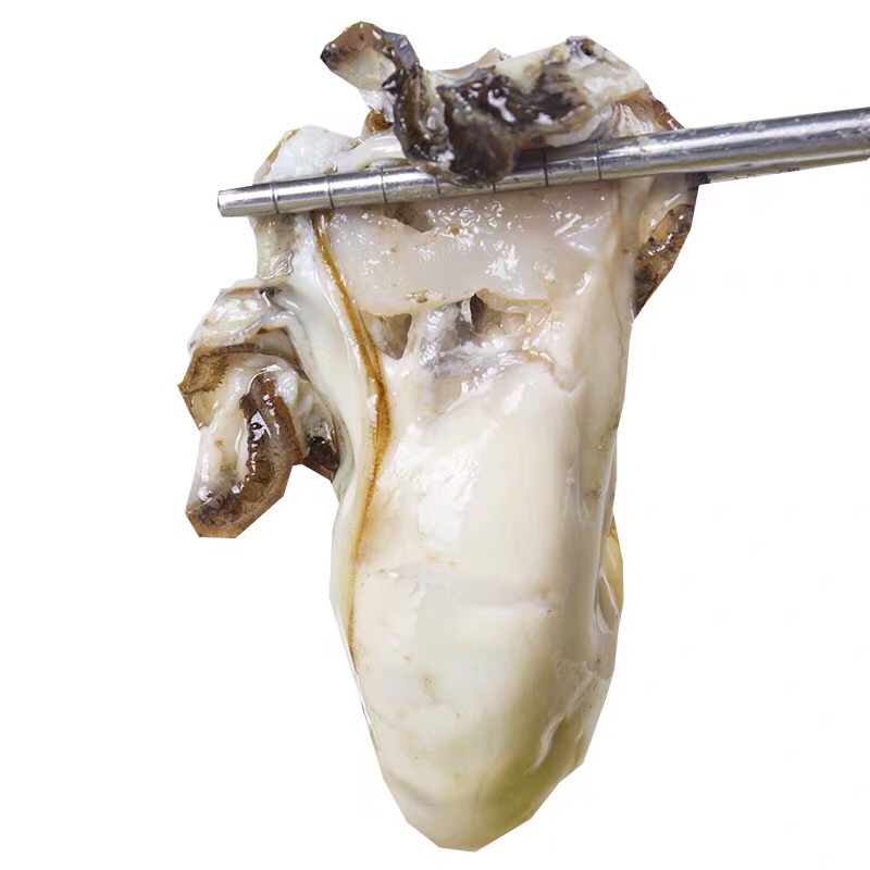 《有好货》生蚝肉海洋生蚝肉味道肥美海蛎子肉