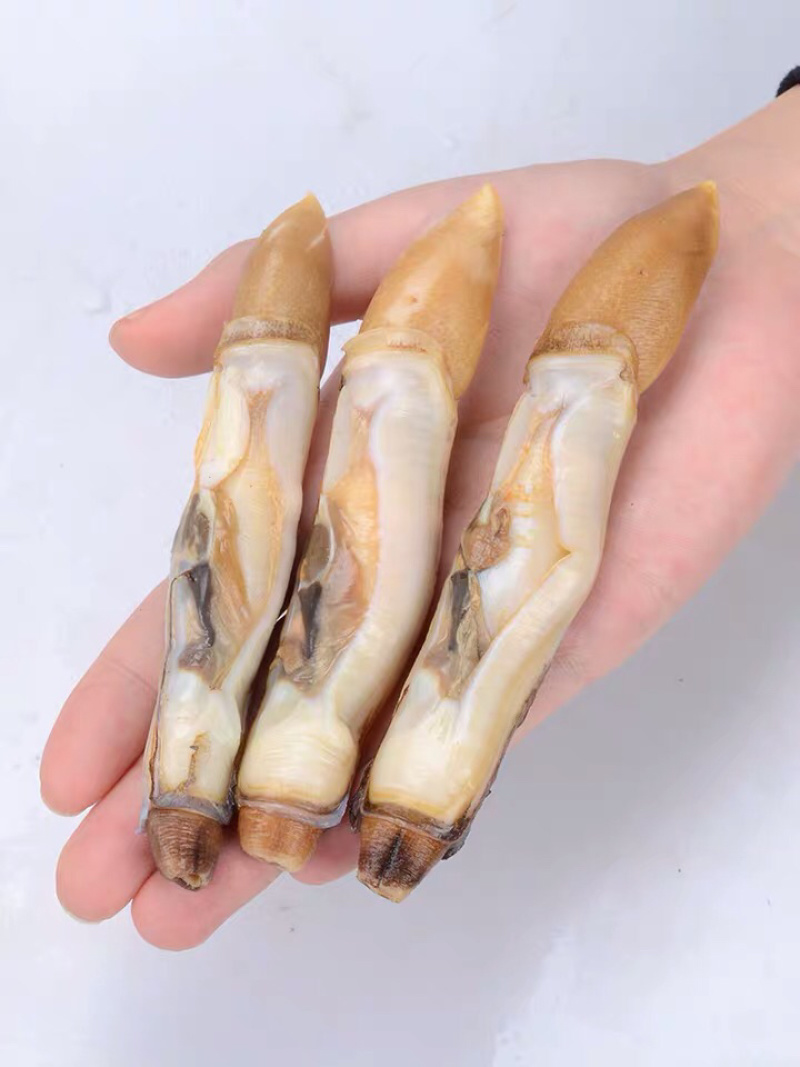 《有好货》蛏王肉蛏子蛏王肉