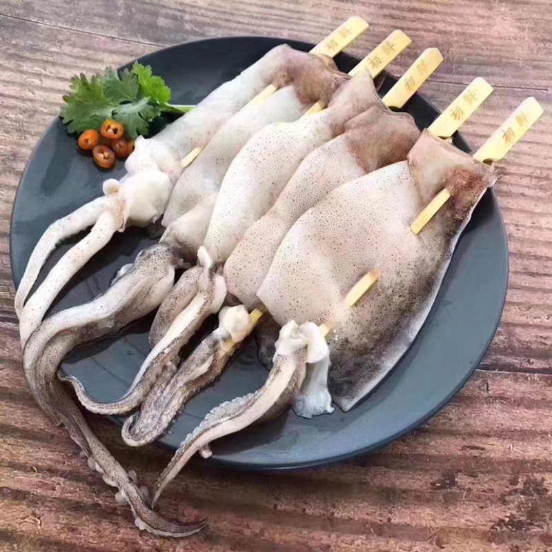 《有好货》铁板鱿鱼，烧烤铁板鱿鱼海鲜鱿鱼