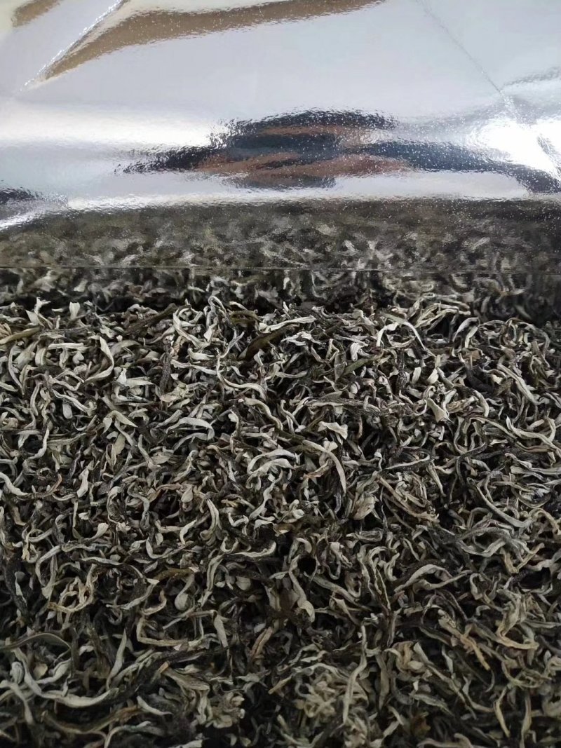 沙棘树苗，沙棘杯苗