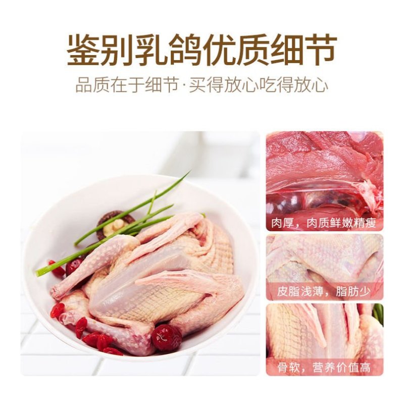 【特惠】新鲜乳鸽土鸽子农家散养鸽子放飞活体乳鸽子肉鲜现杀