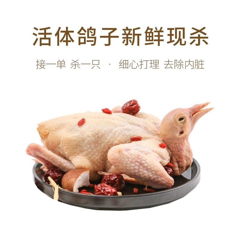 【特惠】新鲜乳鸽土鸽子农家散养鸽子放飞活体乳鸽子肉鲜现杀