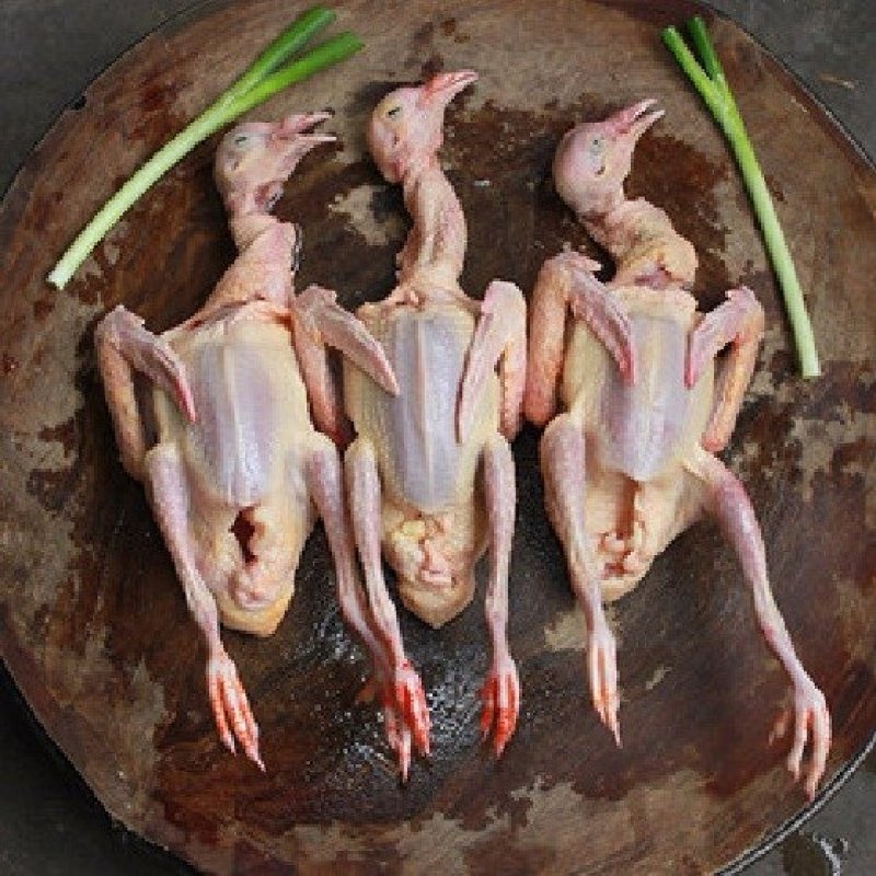 【特惠】新鲜乳鸽土鸽子农家散养鸽子放飞活体乳鸽子肉鲜现杀