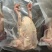 【特惠】新鲜乳鸽土鸽子农家散养鸽子放飞活体乳鸽子肉鲜现杀