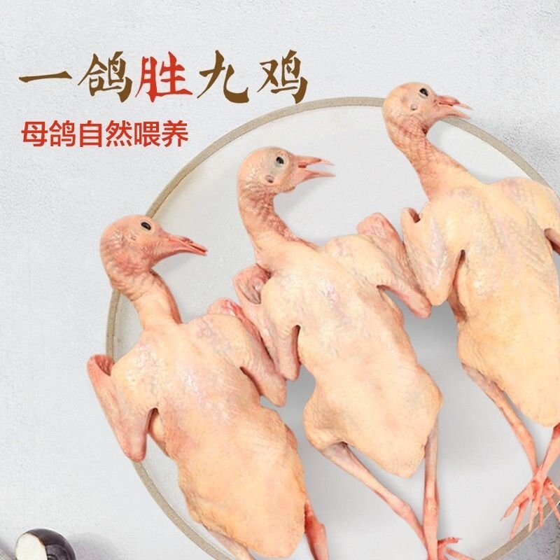 【特惠】新鲜乳鸽土鸽子农家散养鸽子放飞活体乳鸽子肉鲜现杀