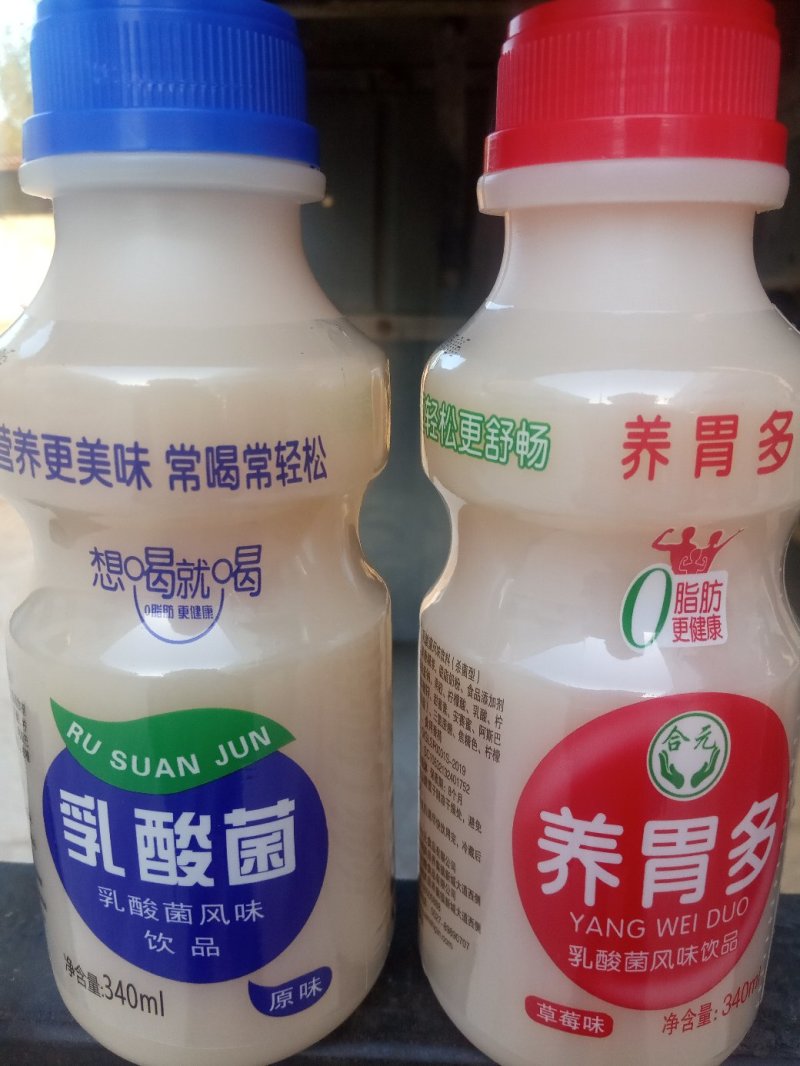 乳酸菌酸奶系列风味饮料厂家直销，诚招全国代理