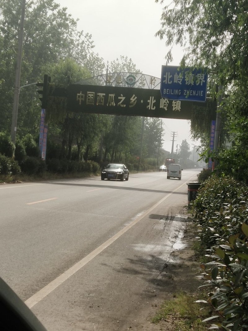 2026年，优质8424，美都，大量上市中，支持代发