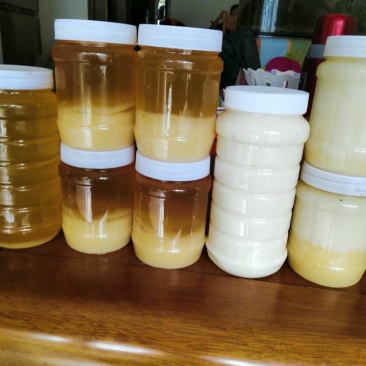 新鲜蜂蜜上架了，正宗的土蜂蜜，欢迎尝新！