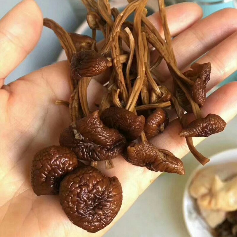 古田茶树菇干货新货无硫蘑菇农家不开伞茶树菇500g