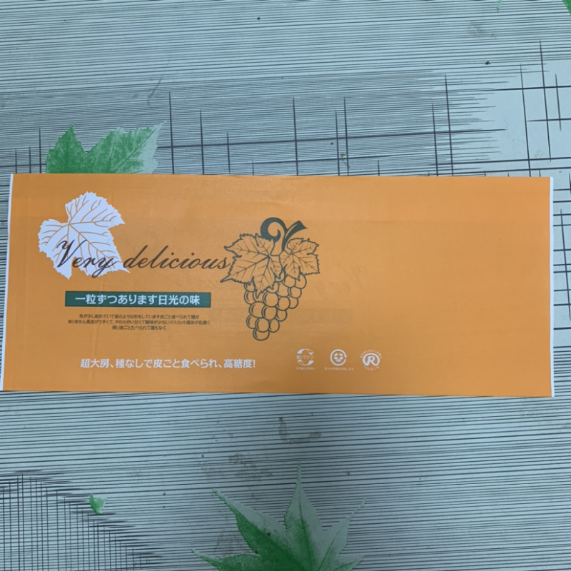 阳光玫瑰葡萄包装袋晴王包装袋葡萄包装袋
