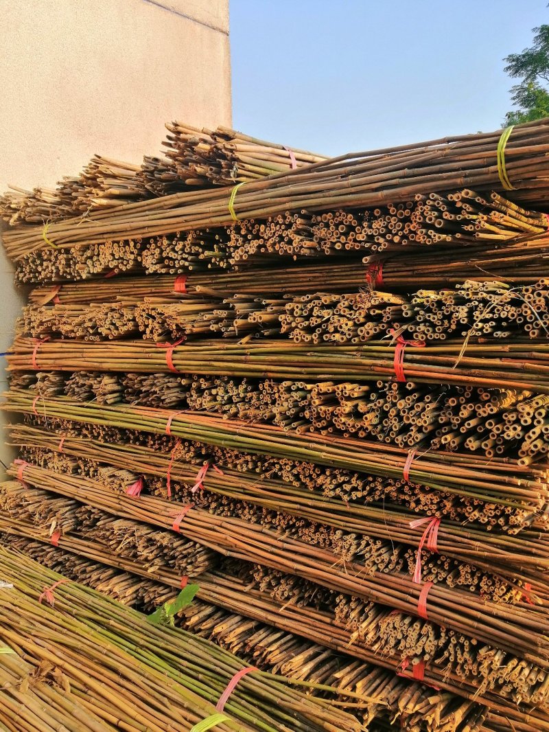产地直销菜架竹，火龙果架，竹片，楠竹欢迎定购