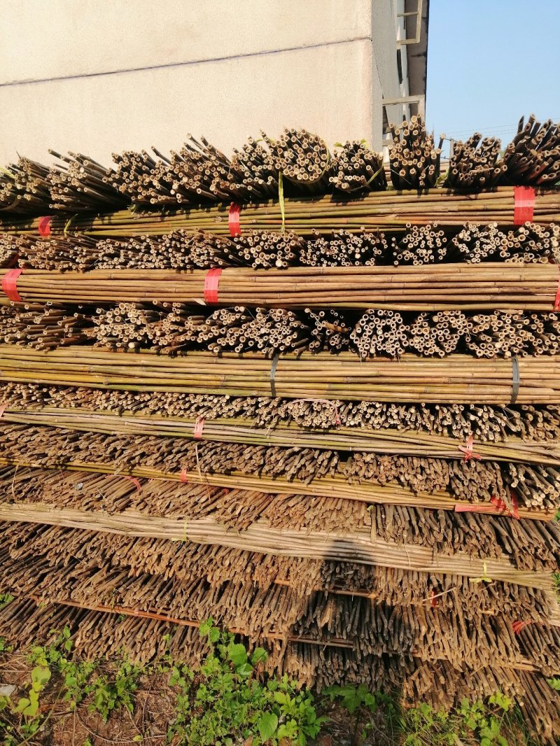 产地直销菜架竹，火龙果架，竹片，楠竹欢迎定购