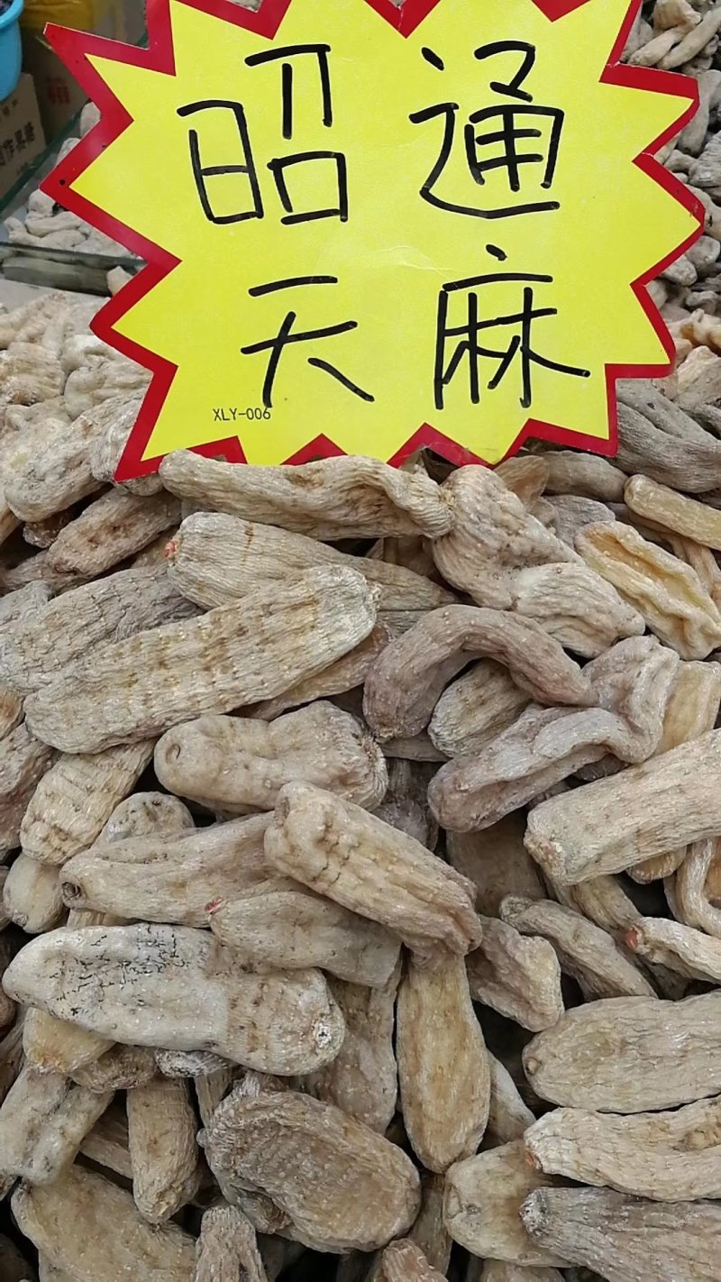 昭通天麻
