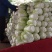 【牛商优选】精品大白菜一手货源地头直发可对接商超量大