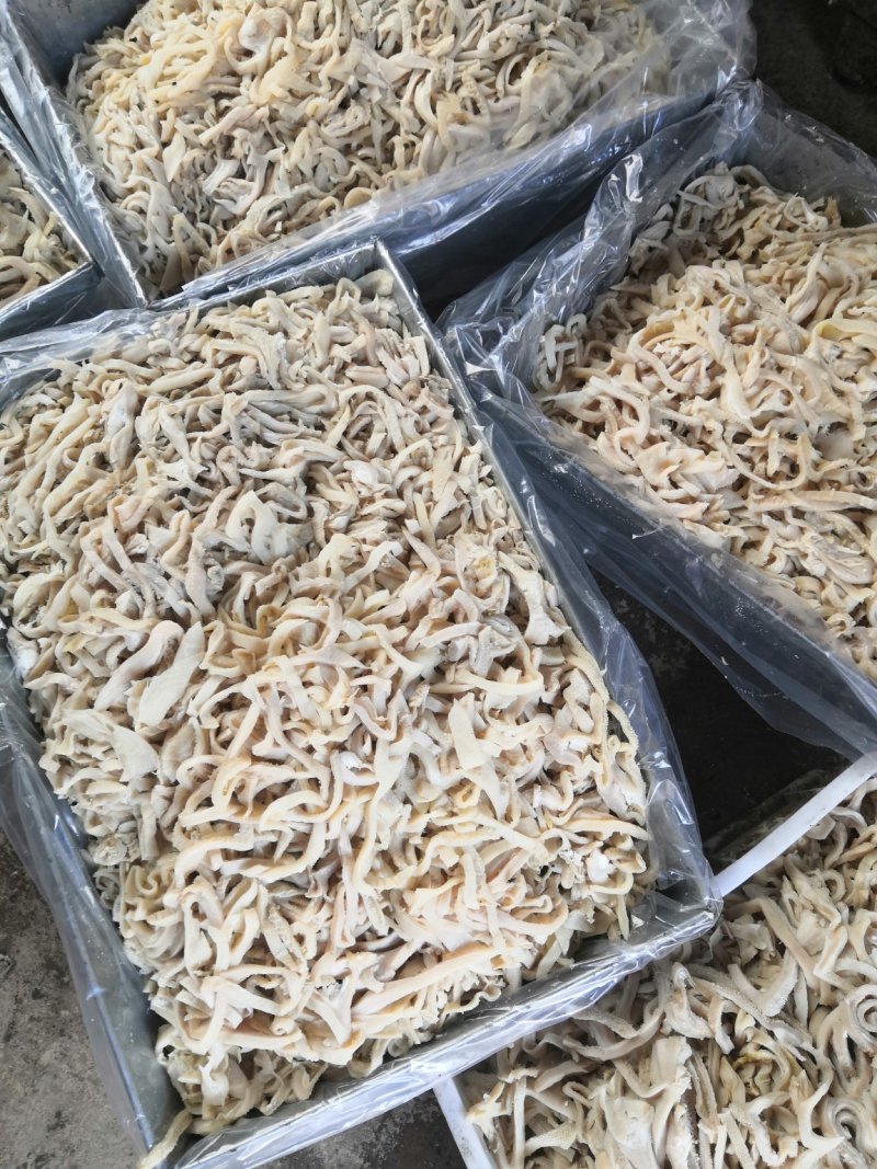羊肚