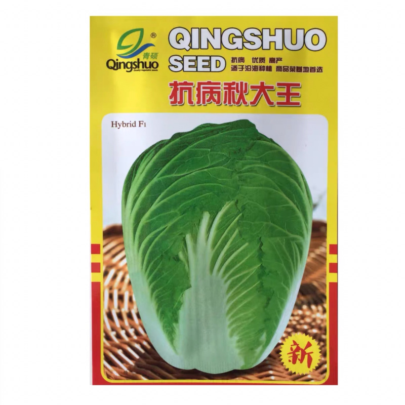 大白菜种子高产品种选育抗病秋季易种大田蔬菜种子包邮
