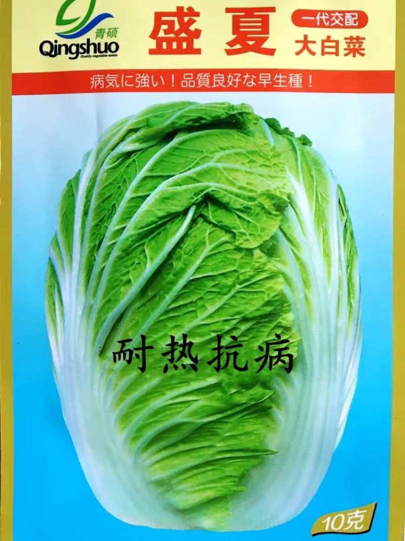 大白菜种子高产品种选育抗病秋季易种大田蔬菜种子包邮