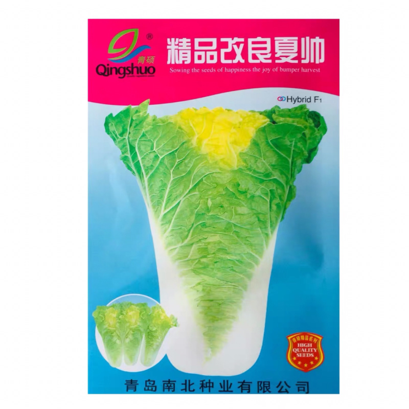 大白菜种子高产品种选育抗病秋季易种大田蔬菜种子包邮