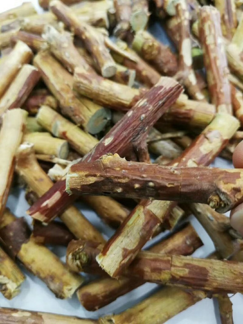 悬钩子悬钩子段实物拍摄各种冷背中药材