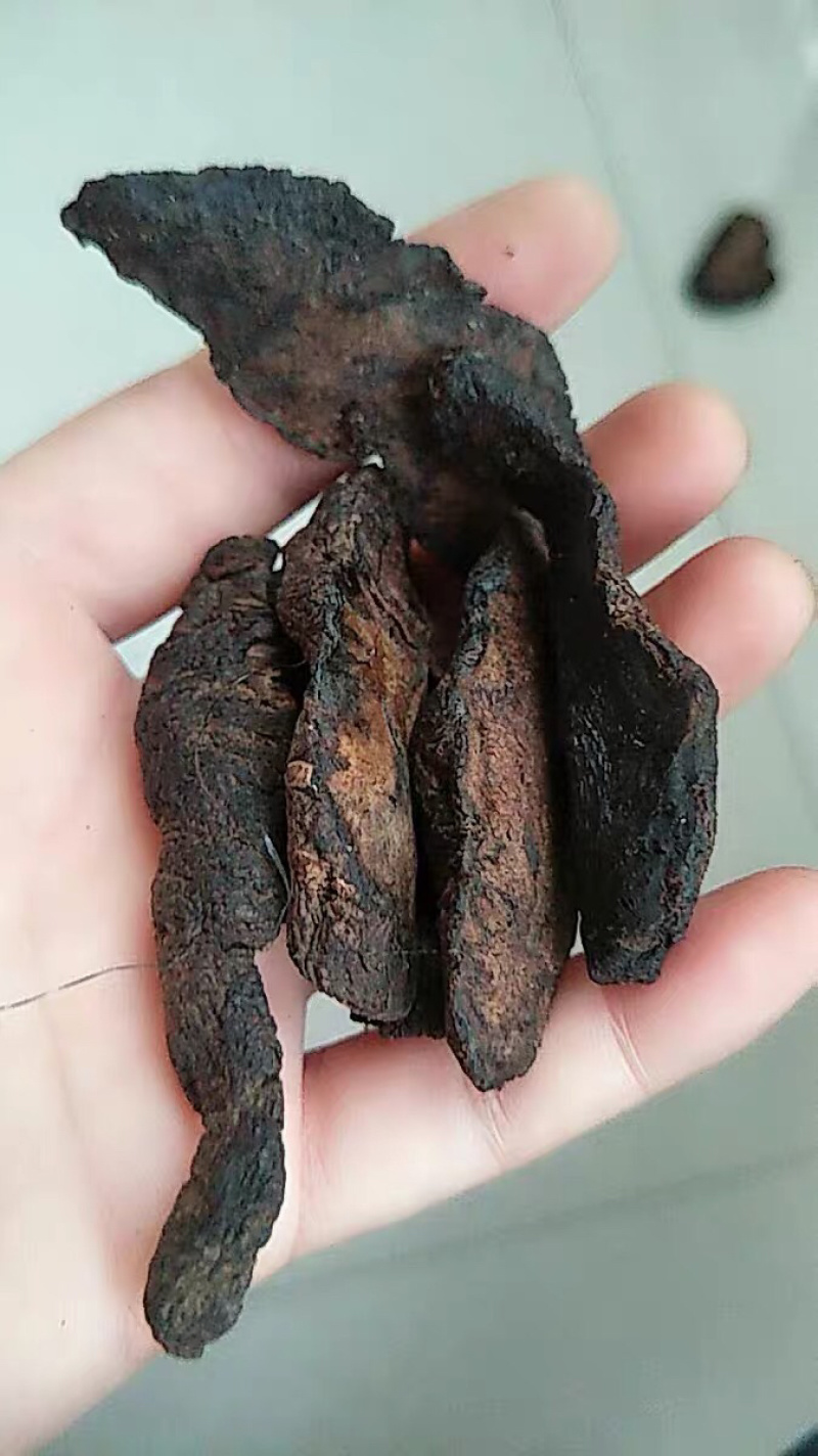 生地河南焦作怀生地黄生地片怀地黄地髓