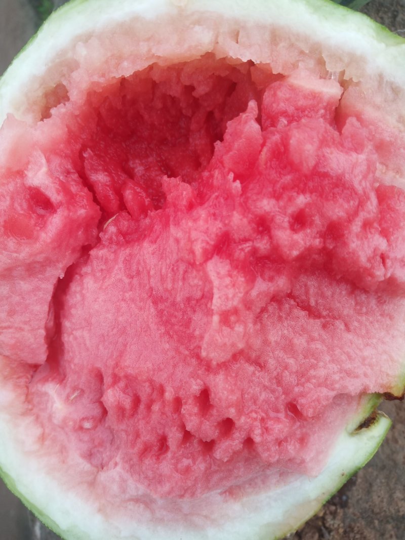 8424