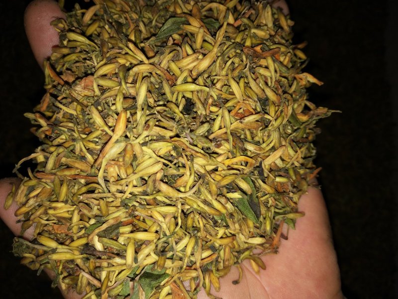 四川金银花，产地一手货源一级干花量大提前预约