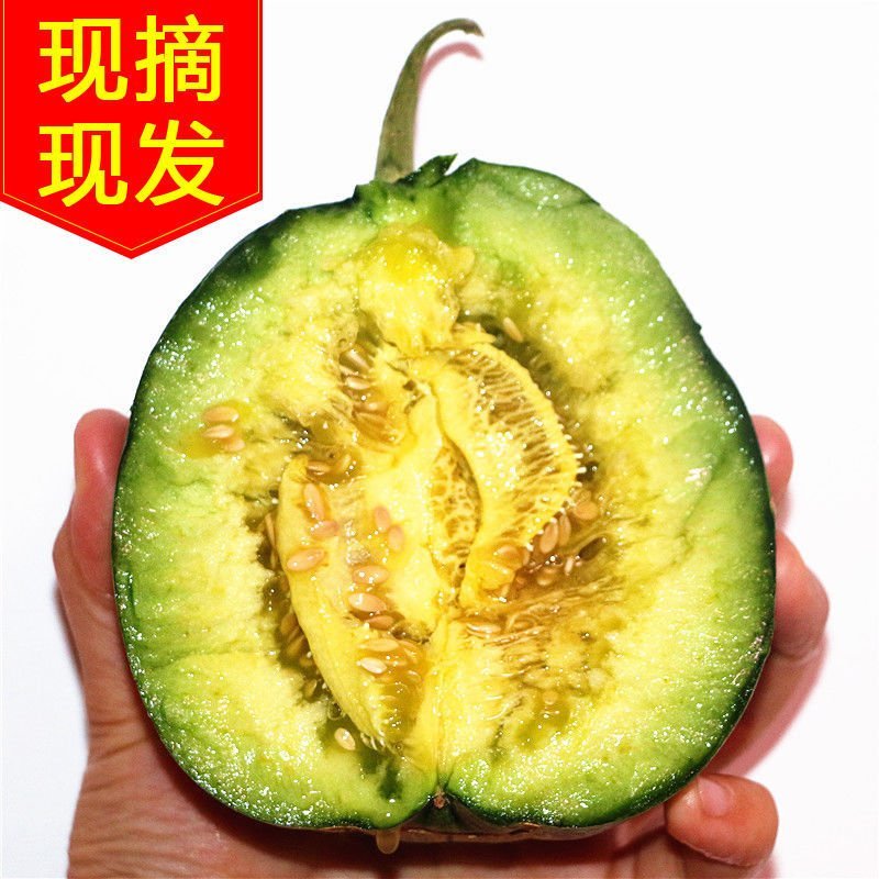 陕西大荔绿宝石，博洋，花豹，芝麻密已陆续成熟