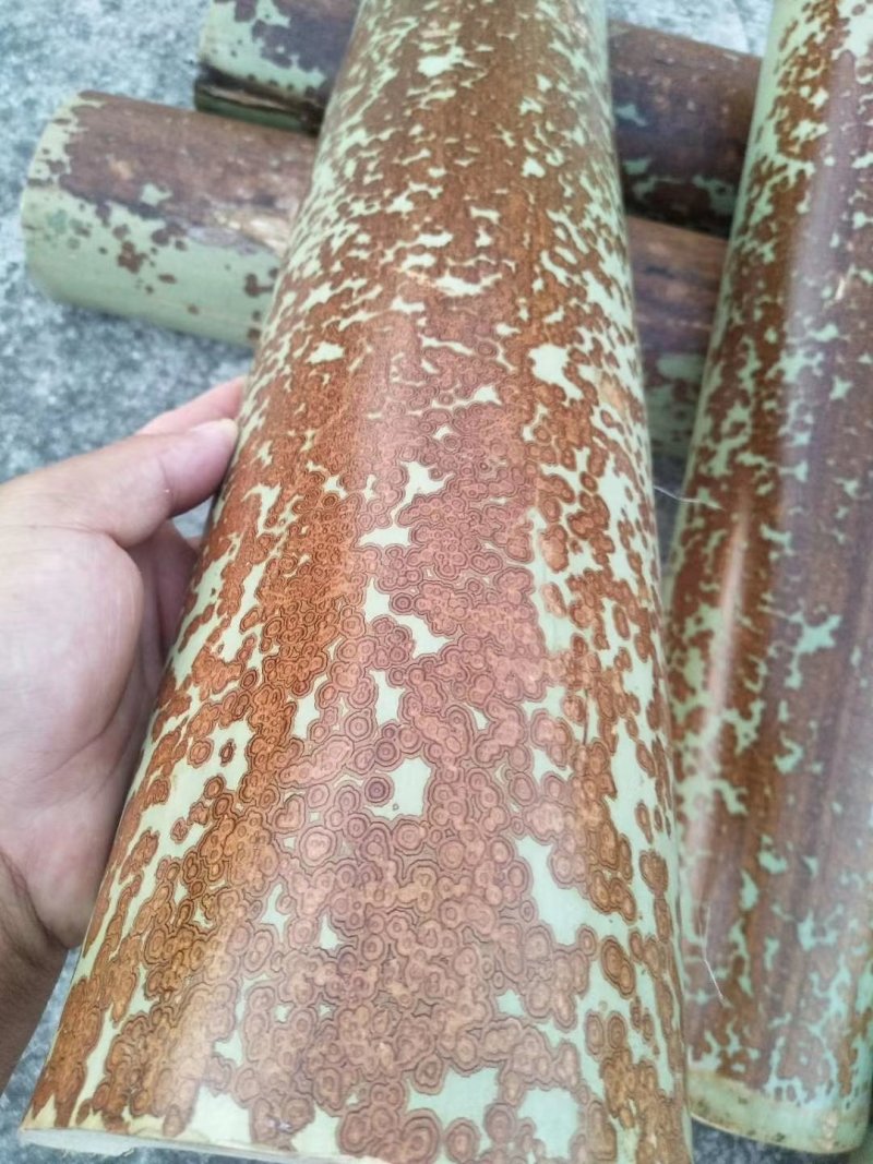 花竹