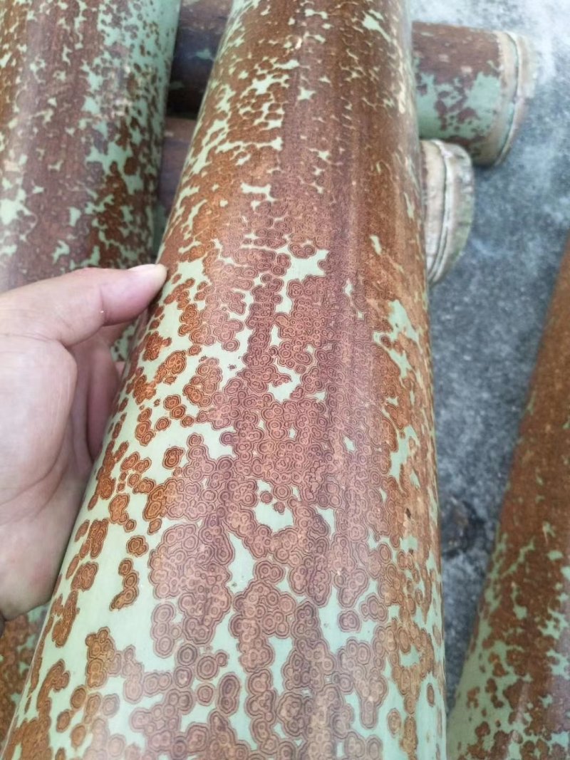 花竹
