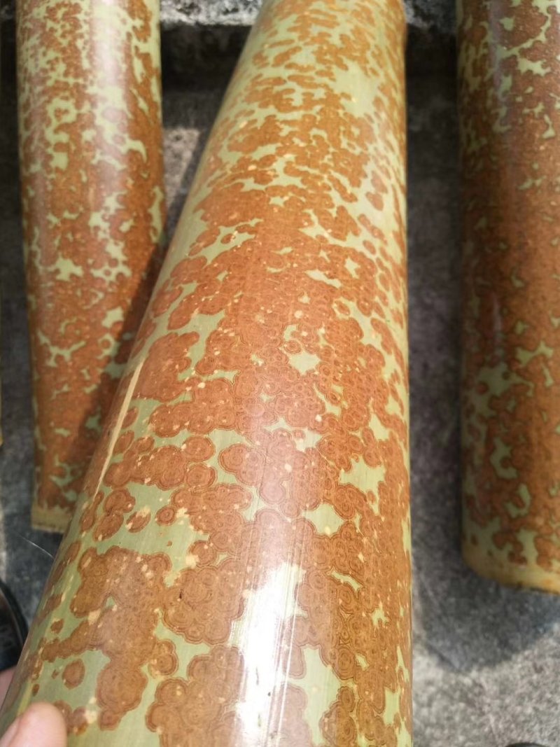 花竹