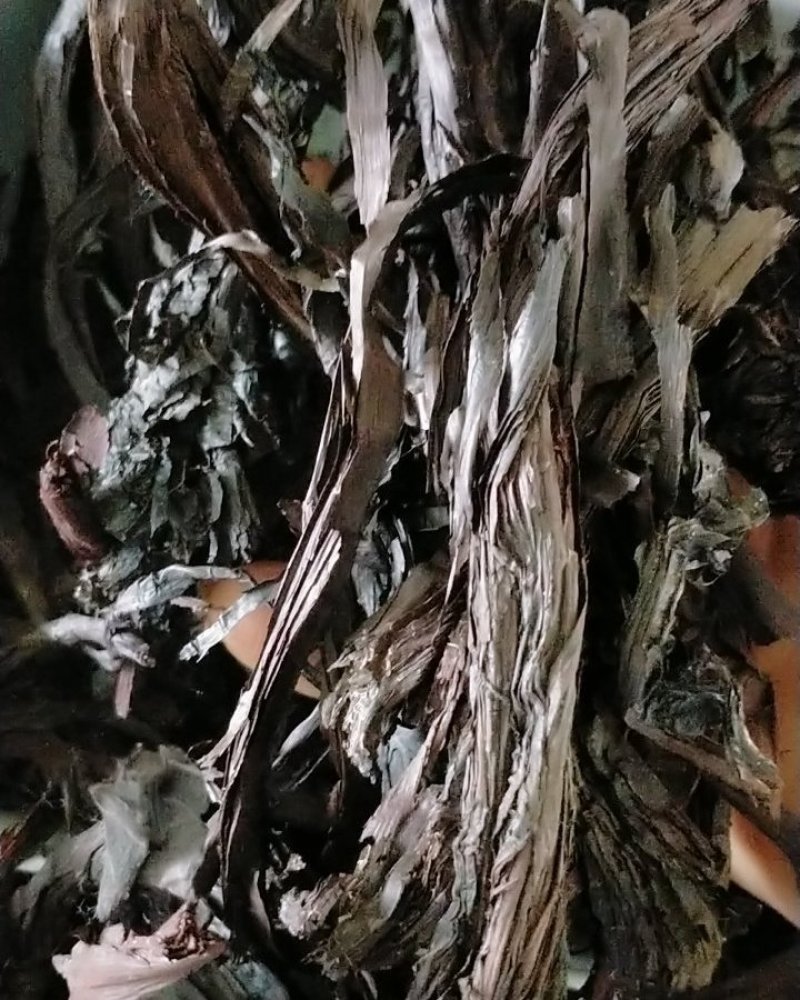 中药材紫草高含量大货批发！50公斤以上物流包邮！