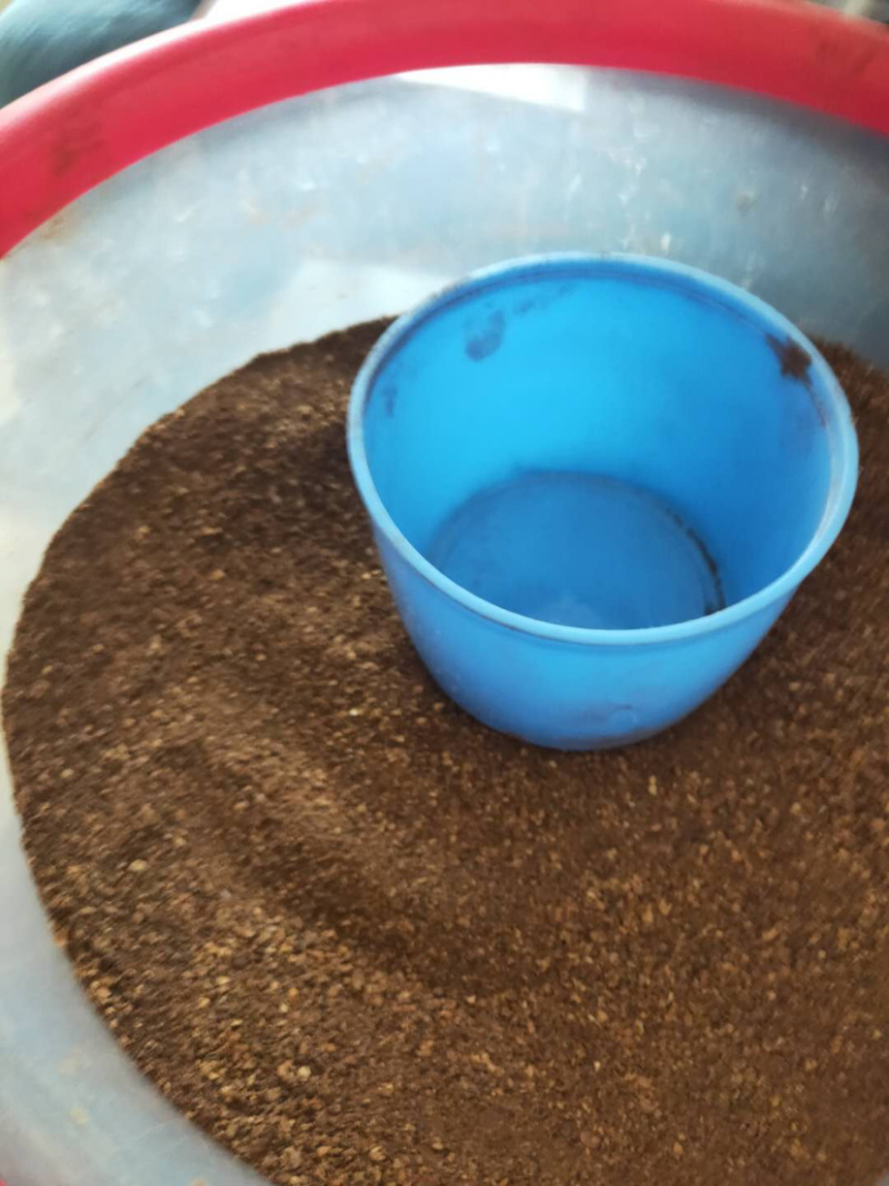 产地直销芝麻粕大量有货价格低