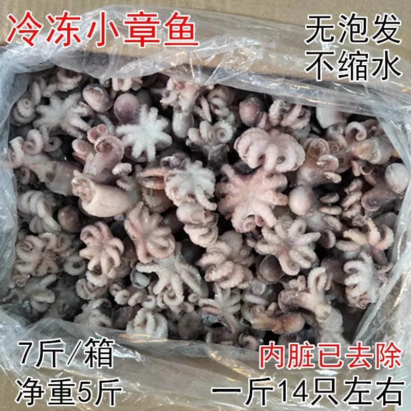 八爪鱼7斤新鲜冷冻半熟小章鱼一斤14个左右苏浙沪皖包邮