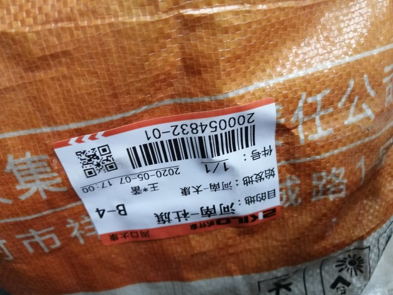 国槐苗，优质国槐苗，产地直销。
