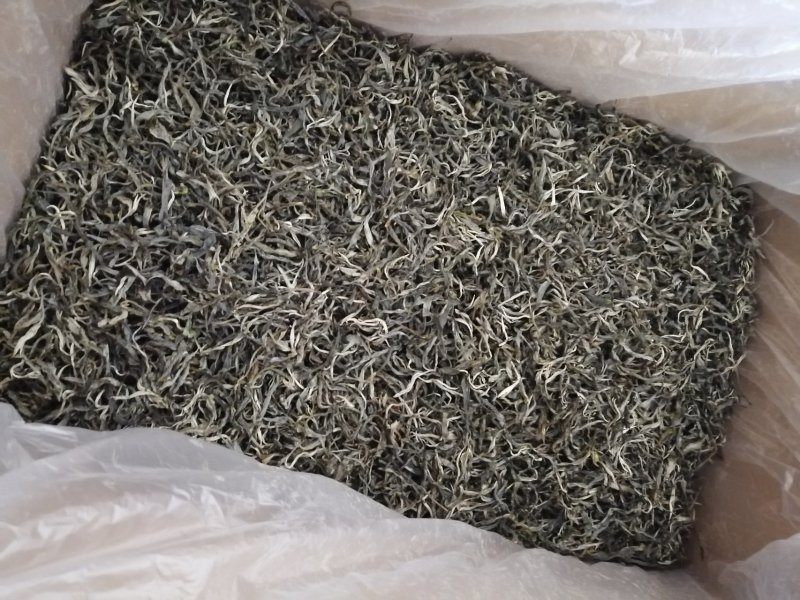 勐海岩胆初制茶坊布朗山茶区域