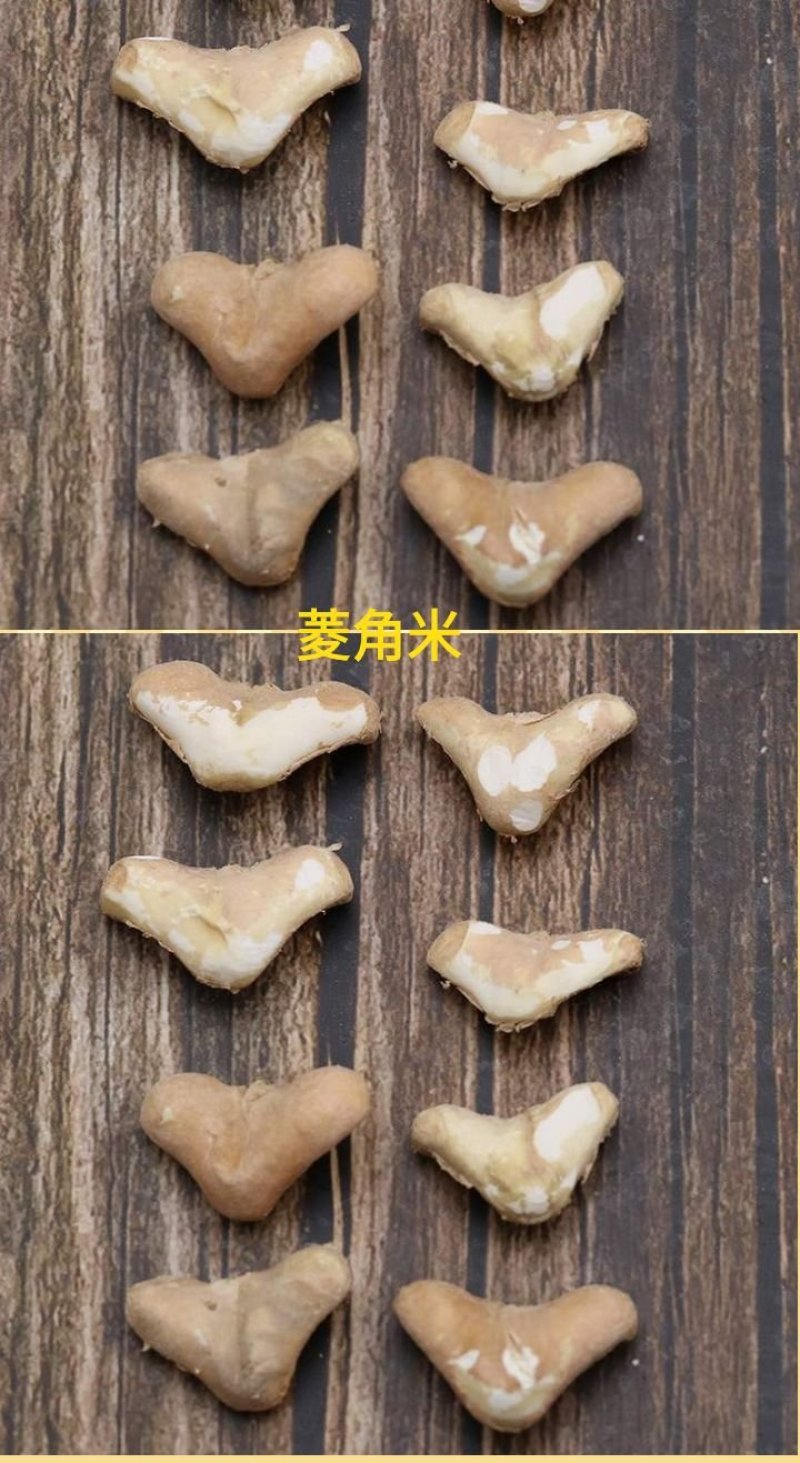 菱角米仁去壳菱角米仁舌尖上的美食菱角米仁包邮