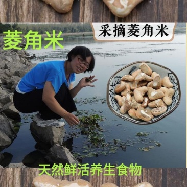 菱角米仁去壳菱角米仁舌尖上的美食菱角米仁包邮
