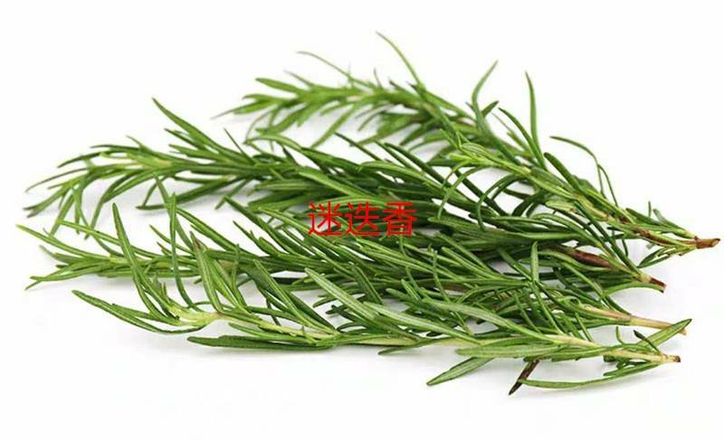 三色堇#食用花卉#