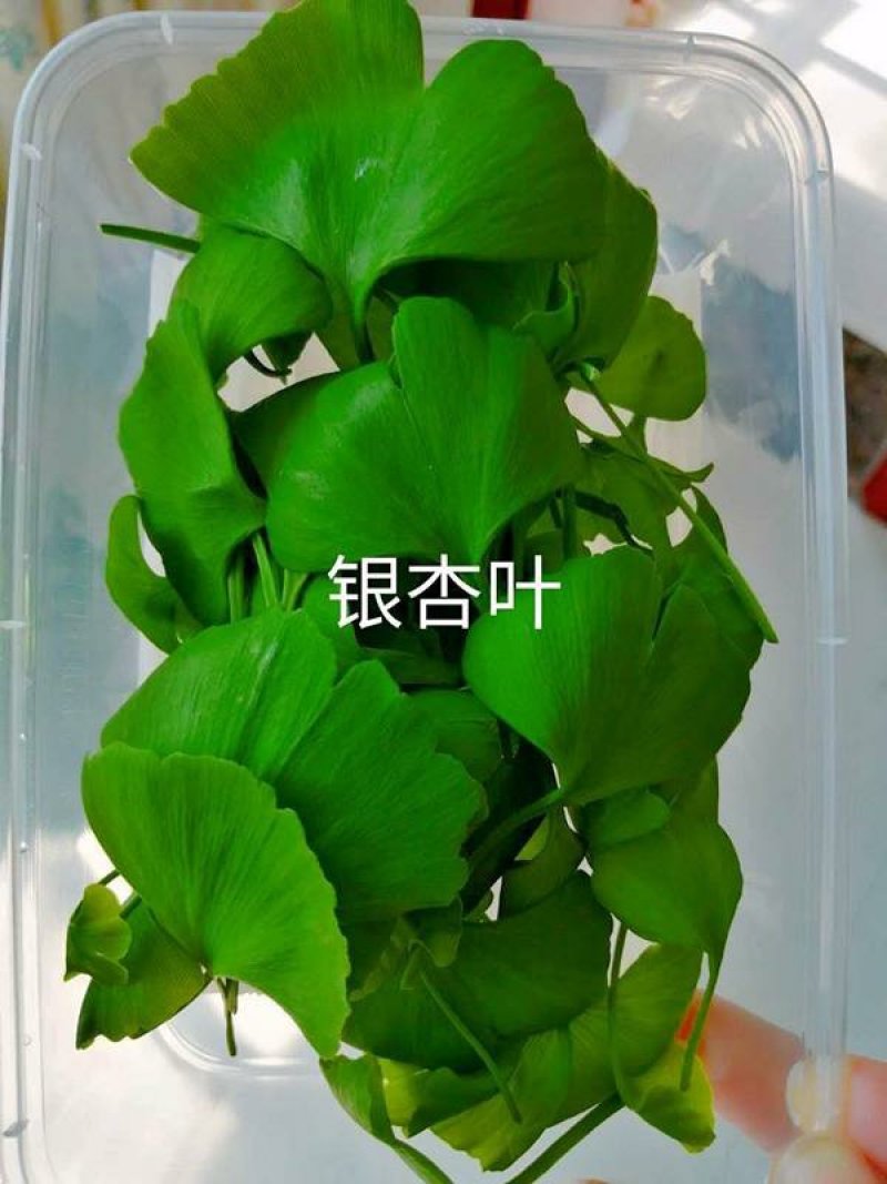 三色堇#食用花卉#