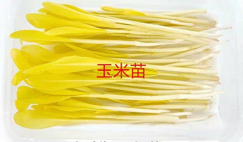 三色堇#食用花卉#