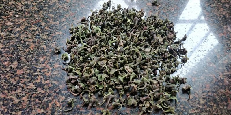 福鼎市管阳镇天竹荒野白茶茶籽厂里直接供货