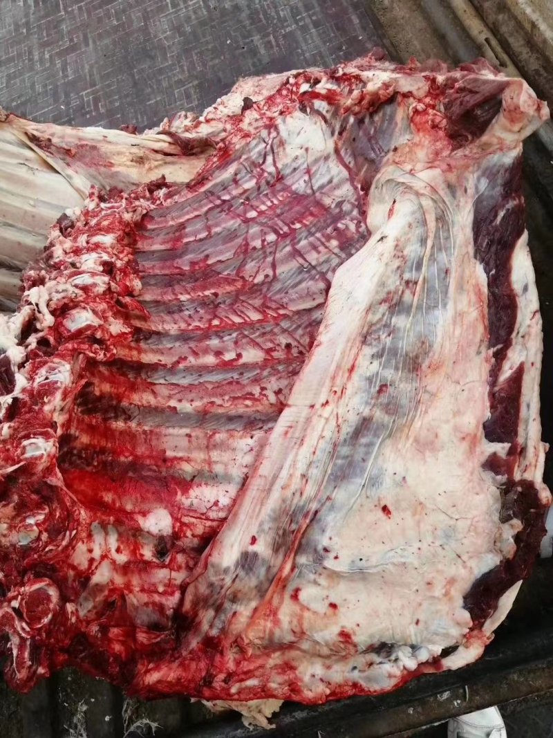 多肉牛排牛副产品大量有货，，，，，，