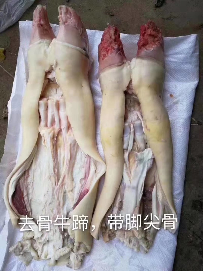去骨牛蹄大量有货厂家直销有需要欢迎砸单……