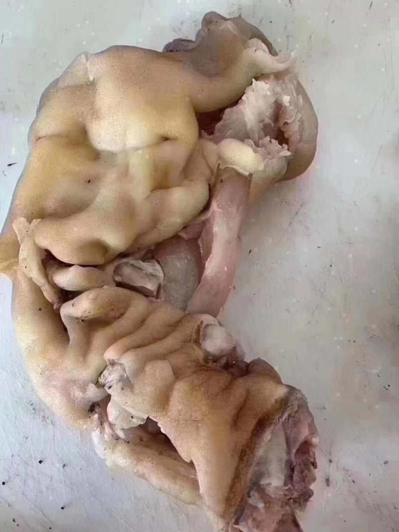 熟牛蹄筋牛副产品大量有货，。，