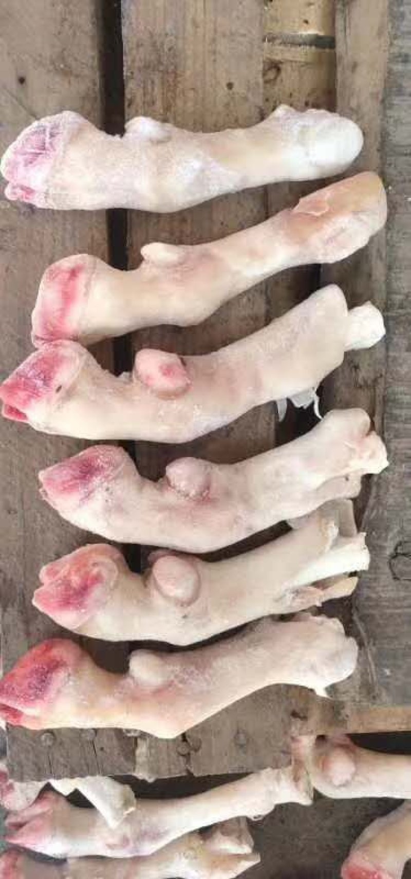 羊蹄羊蹄羊蹄厂家直销质量保证。。。。。