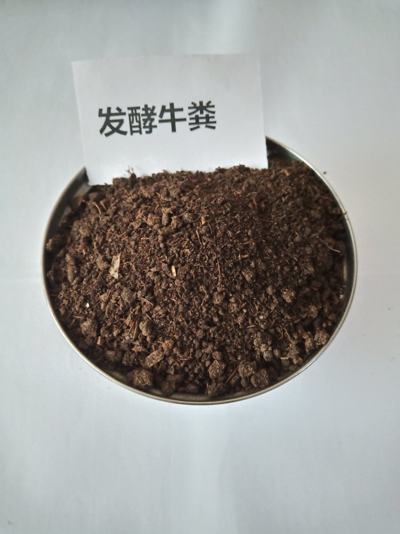 河北发酵牛粪厂家秦皇岛干牛粪批发昌黎牛粪有机肥