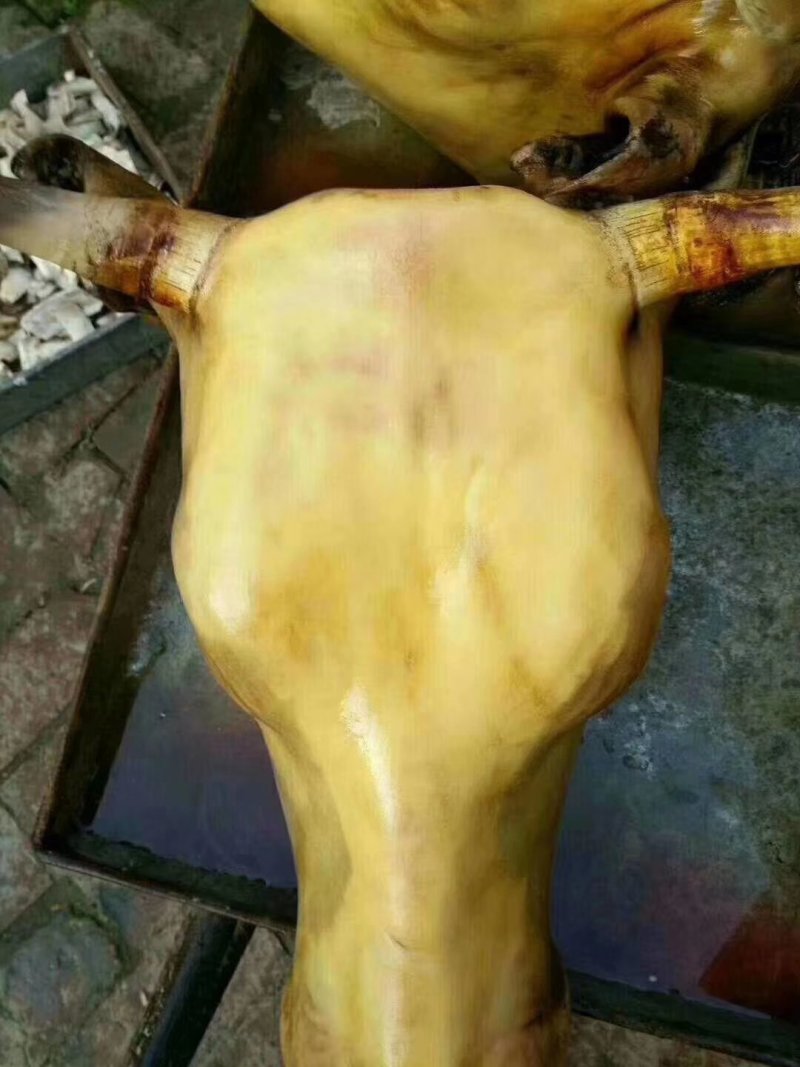 火烧牛头火烧牛头火烧牛头，，，，，，，，，