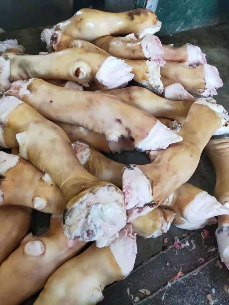 火烧牛蹄火烧牛蹄火烧牛蹄厂家直销大量现货