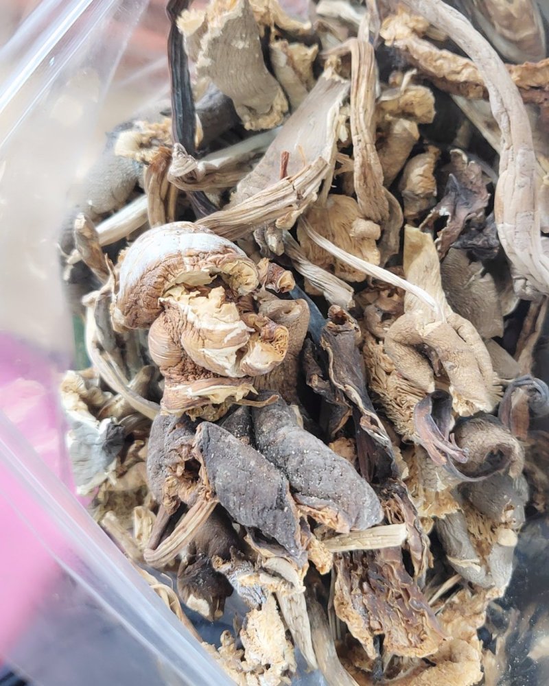 全国包邮云南精品食用菌野生菌干货野生鸡枞菌