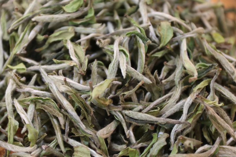 2020新茶福鼎白茶牡丹王